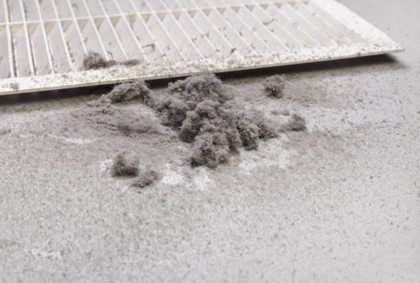 Best HVAC Duct Inspection Services  in Weldon, NC