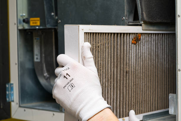 Best Dryer Vent Cleaning Services  in Weldon, NC