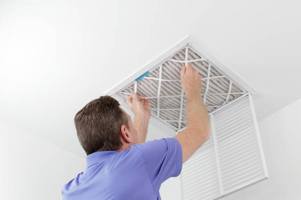 Best HVAC Air Duct Cleaning  in Weldon, NC